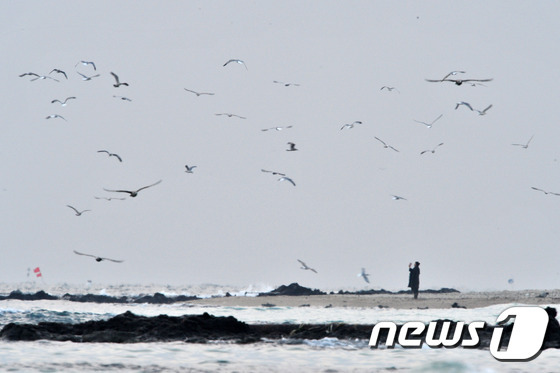 경북 포항시 남구 구룡포해수욕장 인근 간이해수욕장,(뉴스1자료) ⓒ News1 최창호 기자