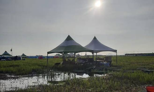 [출처 : 가디언]