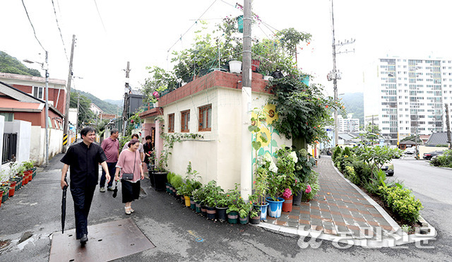 저전동 마을주민들은 자발적으로 집 앞 정원을 가꾼다. 덕분에 방문객이 크게 느는 등 ‘제2의 전성기’를 맞고 있다. 순천=김병진 기자