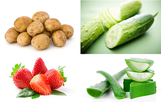 감자와&nbsp;오이,&nbsp;딸기,&nbsp;알로에.(위 왼쪽 사진부터 시계 방향으로)