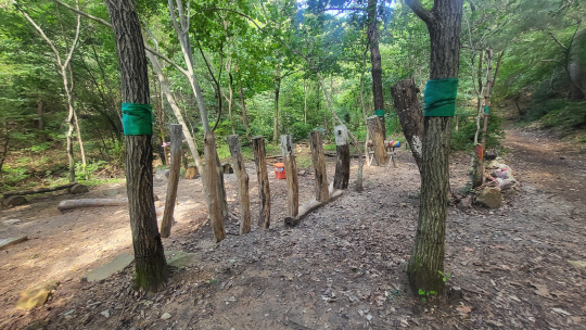 대전숲체원에는 어린이들이 숲을 배우고 즐길 수 있는 시설이 설치돼 있다. 사진=김재근 선임기자