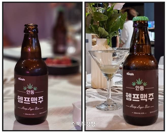 안동 헴프맥주. 사진|강석봉 기자