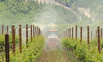 [사진=게티이미지뱅크]