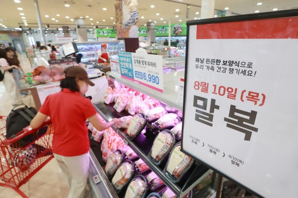 말복인데…닭고기 가격 상승 - 말복을 앞둔 9일 서울 시내 한 대형마트에서 시민이 삼계탕용 닭고기를 살펴보고 있다. 9일 축산물품질평가원 축산유통정보에 따르면 전날 기준 ㎏당 닭고기 소매가는 6151원으로, 지난해 같은 날 5690원보다 8.1% 올랐다. 지난해 말복(8월 15일) 3일 전인 12일의 5639원과 비교해도 9.1% 비싸다.