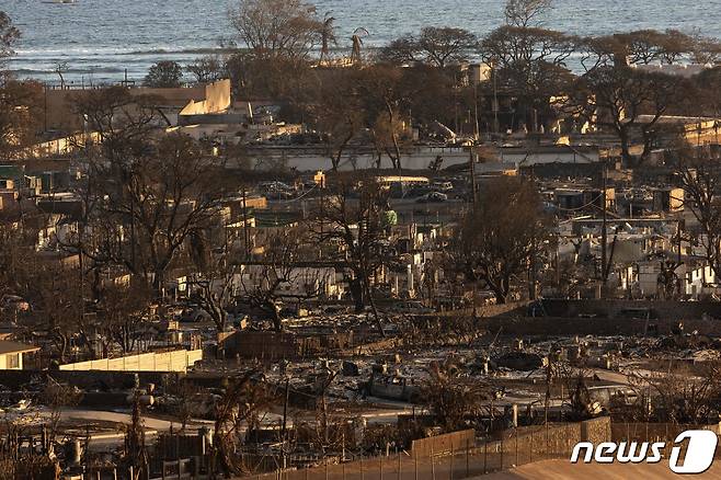 12일(현지시각) 대형 산불이 휩쓸고 간 하와이 마우이 섬 라하이나에서 불에 탄 주택과 건물이 보인다. 2023.8.14 ⓒ AFP=뉴스1 ⓒ News1 우동명 기자