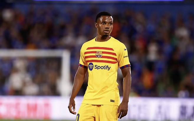 데일리메일 기사캡쳐