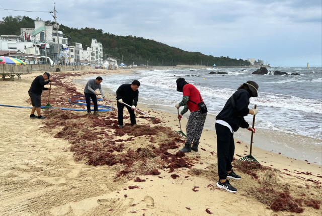 ▲ 동해시와 교육청·해경·경찰서·소방서·해군등 40여개 기관, 기업체, 사회단체 등 민관군 500여명은 17일 동해 어달해수욕장에서 태풍 카눈으로 발생한 쓰레기를 수거하는 등 국토대청결 운동을 실시했다.