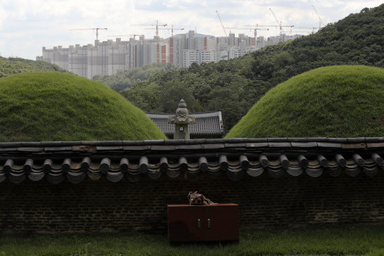 경기도 김포시 풍무동 장릉(사적 제202호)에서 인천 서구 검단신도시에 짓고 있는 아파트 단지가 보이고 있다. (사진=뉴스1)