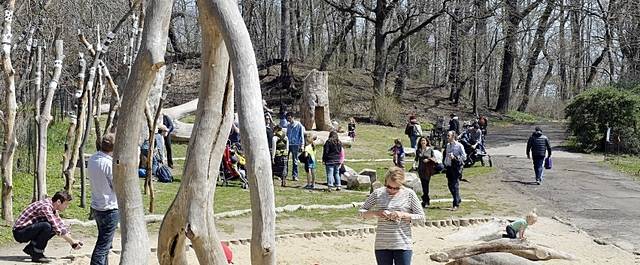 뉴욕 프로스펙트 공원 내 주커 자연탐험지역에 마련된 놀이 공간. 관리자들은 태풍으로 수백 그루의 아름드리 나무가 쓰러지자 이중 일부를 다듬어 놀이 공간에 배치했다. 프로스펙트공원협회 홈페이지에서 캡쳐.