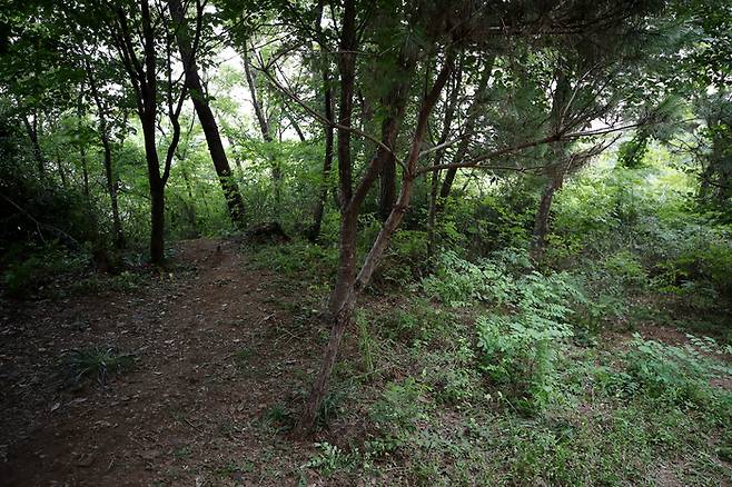 18일 오후 전날 성폭행 사건이 발생한 서울 관악구 신림동의 둘레길 모습. [사진 출처=여연합뉴스]