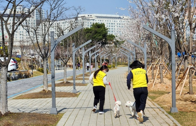 나주시는 지난 3월 성숙한 반려문화 조성을 위한 희망동행 캠페인을 진행했다. 사진 제공=나주시