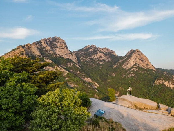 온라인 커뮤니티