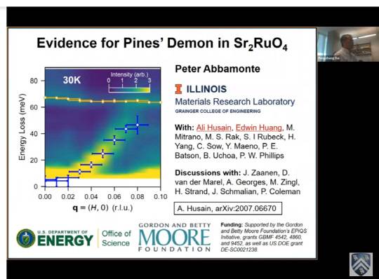 피터 아바몬테 미국 일리노이대 어바나 샴페인 캠퍼스 물리학과 교수가 '파인즈의 악마' 연구 결과를 설명하고 있다. 온라인 영상캡처