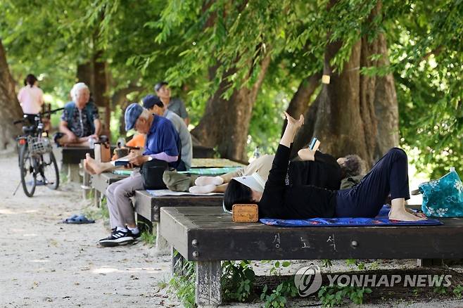 담양관방제림에서 피서 [연합뉴스 자료사진]