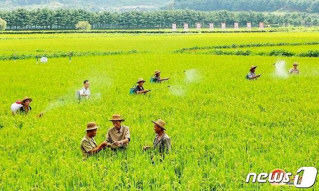 (평양 노동신문=뉴스1) = 북한 평안북도 신의주시 석하농장. [국내에서만 사용가능. 재배포 금지. DB 금지. For Use Only in the Republic of Korea. Redistribution Prohibited] rodongphoto@news1.kr