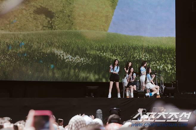 사진 출처=ⓒSUMMER SONIC All Rights Reserved