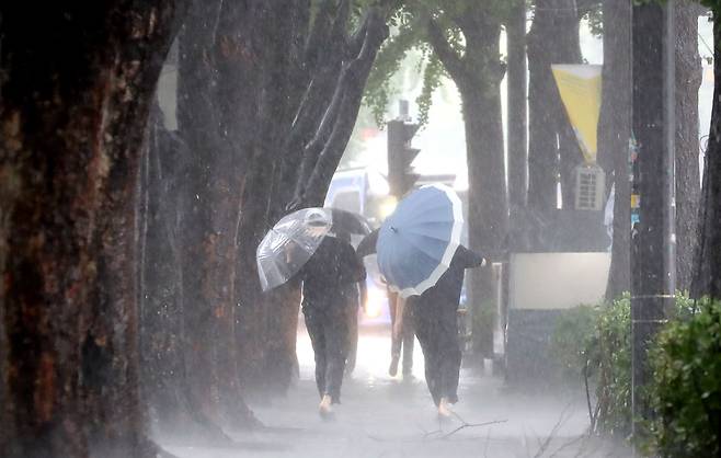 제6호 태풍 카눈의 직접 영향권에 들어선 10일 오전 서울 종로에서 시민이 우산으로 비바람을 막고 있다./뉴스1