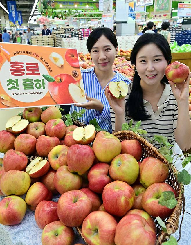 20일 서울 서초구 하나로마트 양재점에서 모델들이 추석 제수용으로 사용되는 '홍로' 품종 사과를 소개하고 있다.