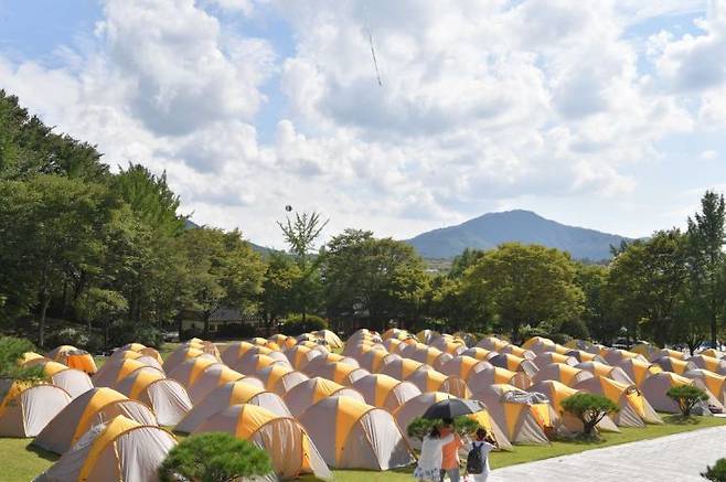 제17회 장수 한우랑사과랑 축제 '적과의 동침' 1박2일 자연체험 현장.[사진 제공=장수군]