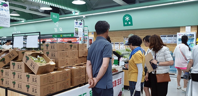 구미시가 구미로컬푸드직매장 금오산점에서 유럽종포도 6개 품종을 판매한다./사진제공=경북 구미시