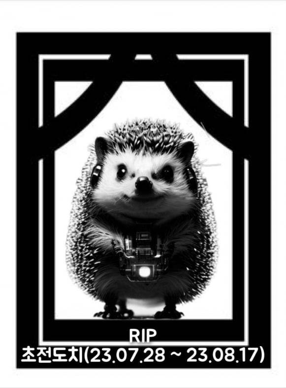 [온라인 커뮤니티 캡처]