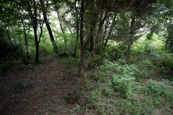 서울 관악구 신림동의 둘레길 - 지난 17일 성폭행 사건이 발생한 서울 관악구 신림동의 둘레길 모습. 연합뉴스