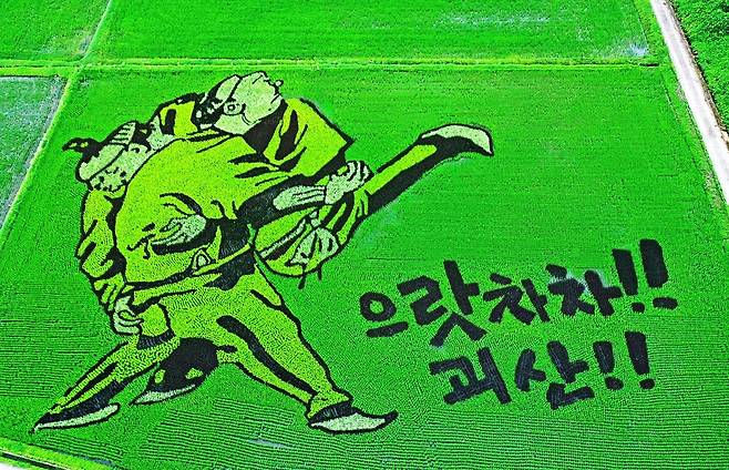 논에 펼쳐진 김홍도의 씨름 [괴산군 제공. 재판매 및 DB 금지]