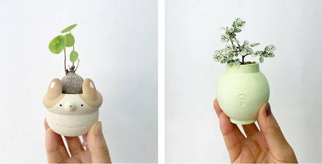 (1) 문 대표의 반려견을 모티브로 만든 화분 (2) 직접 주문제작한 토분으로 다양한 색상이 있다. 그린포레스트 제공
