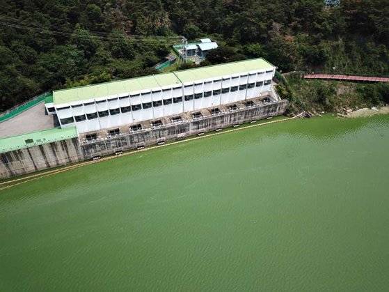 지난해 여름 대구시민 50%가 마시는 수돗물을 원수를 취수하는 매곡취수장 앞 낙동강에 남세균 녹조가 짙게 발생했다. 녹조 독소는 정수 과정에서 염소와 반응해 소독 부산물이 만들어진다. 대구환경운동연합