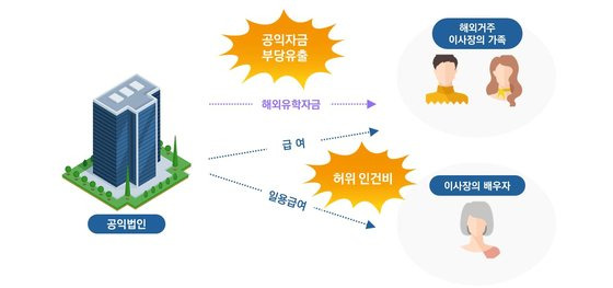 공익법인의 법인 자금 사적 유용 사례. 자료 국세청