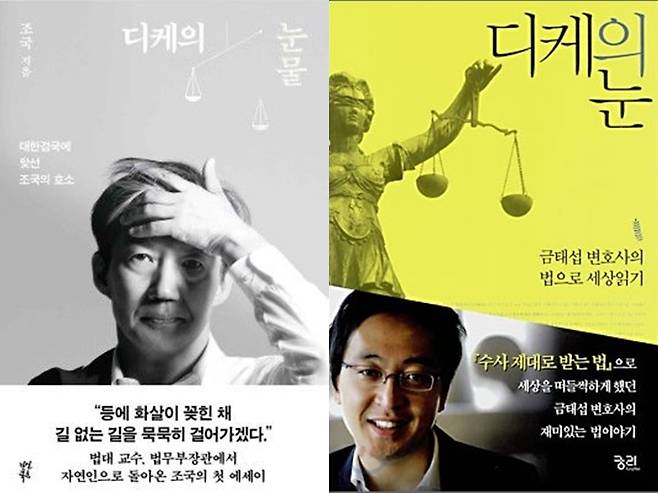 /사진='디케의 눈물', '디케의 눈' 책 표지