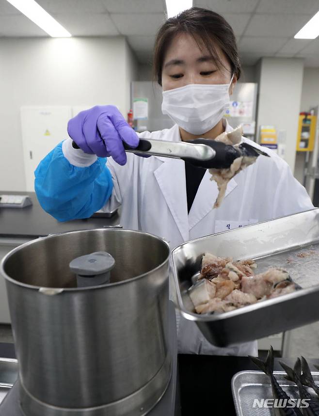 [서울=뉴시스] 김선웅 기자 = 일본이 후쿠시마 오염수 방류를 시작한 24일 서울 서초구 서울특별시 보건환경연구원에서 관계자가 식품 방사능 안전성 검사를 위한 시료 분쇄 작업을 하고 있다. 2023.08.24. mangusta@newsis.com