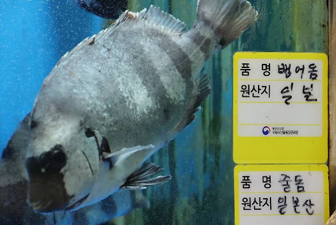 연합뉴스
