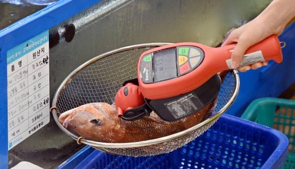 22일 오후 경기도 수원시 한 수산물시장에서 관계자가 방사능 측정기로 수산물을 점검하고 있다. 2023.8.22 연합뉴스(공동취재)