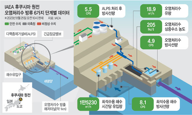 그래픽=하안송 기자