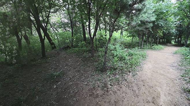 신림 성폭행 피해 현장