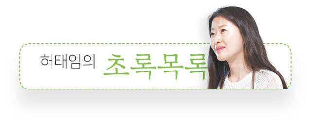 허태임의 초록목록