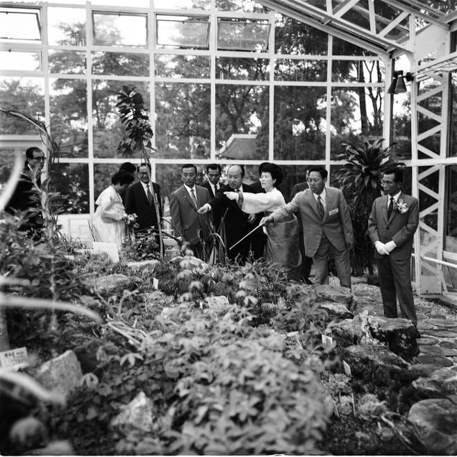 박정희 대통령과 육영수 여사가 1971년 9월 남산식물원을 둘러보고 있다. [서울역사아카이브]