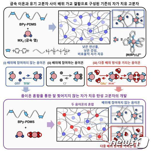 음이온 혼합을 통한 잘 찢어지지 않으면서 효율적 자가 치유가 가능한 탄성 고분자 소재의 개발 모식도.(KAIST 제공)/뉴스1