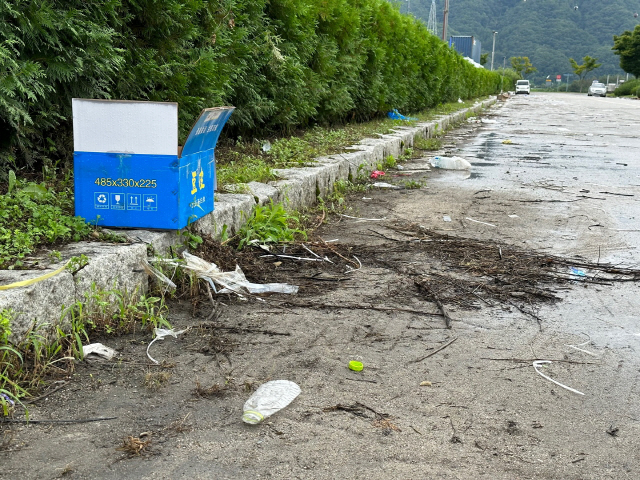 ▲ 28일 오전 방문한 송암스포츠 타운 일대. 2023 강원·춘천 세계 태권도 문화축제가 폐막한 지 나흘이 지났지만 쓰레기들이 정리되지 않은 채 방치돼 있다.