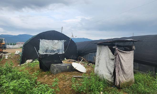 지난 22일 찾은 경기 포천시 한 비닐하우소 숙소 모습이다. 길가에 재래식 화장실이 있는데 사방을 천으로 가려놨다. 윤준호 기자