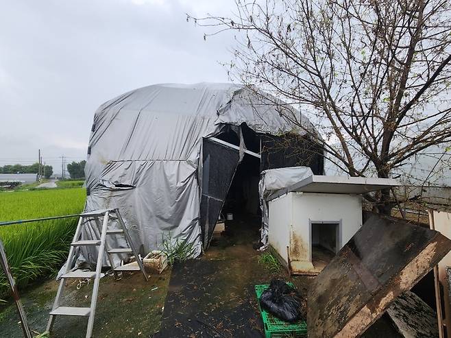 지난 22일 찾은 경기 포천시 농장 일대에는 곳곳에 비닐하우스 숙소가 있었다. 캄보디아, 네팔, 베트남, 태국에서 온 외국인노동자들은 고단한 노동이 끝나면 비닐하우스로 퇴근했다.