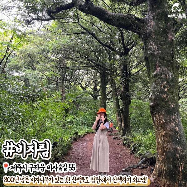 9월 제주 가볼만한 곳 /&nbsp;@zzoo_in_star&nbsp;