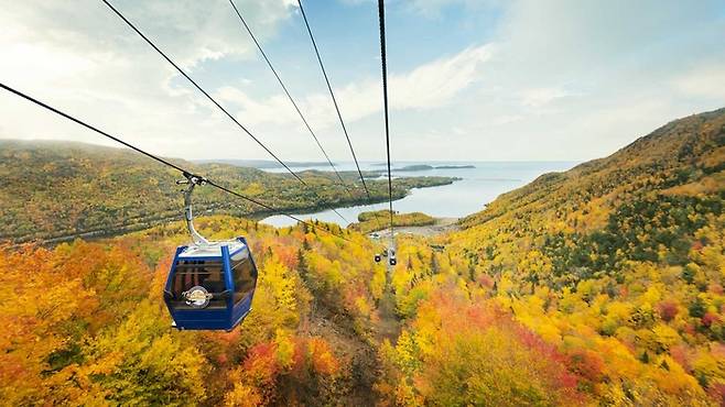 잉고니시 곤돌라 ⓒ Cape Breton Island / 사진 = 캐나다관광청