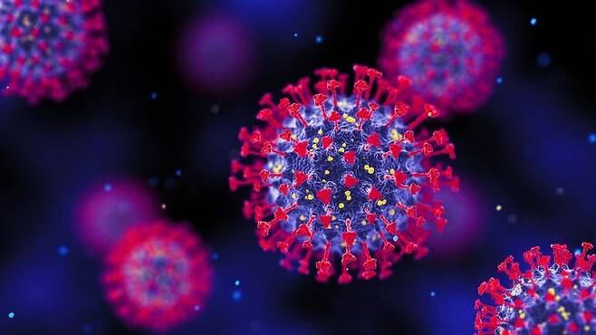 [서울=뉴시스]전 세계에서 발견된 코로나 새 변이 바이러스 피롤라에 대해 과학자들이 주시하고 있다. (출처=prevention.com) *재판매 및 DB 금지