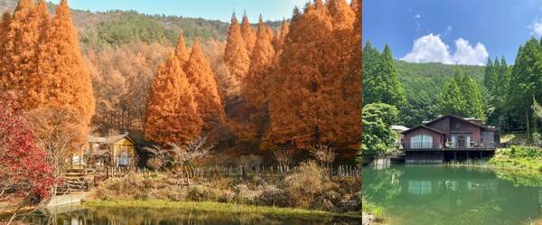 논산 온빛자연휴양림&nbsp; 충청남도청/@heeping_hobbang