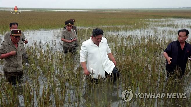 물에 잠긴 논에 들어간 북한 김정은 [연합뉴스 자료사진]