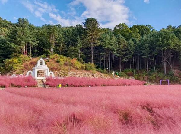 온라인 커뮤니티