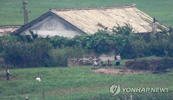 인천시 강하군 평화 전망대에서 촬영한 북한 황해도 개풍군 모습 [연합뉴스 자료사진]