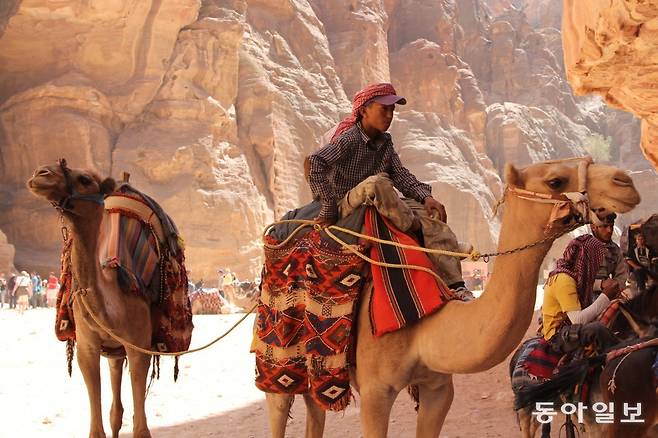페트라의 낙타.